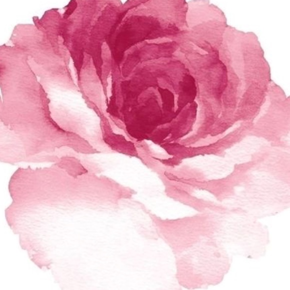 lilyrosecloset